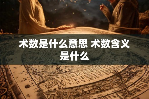 术数是什么意思 术数含义是什么 术数是什么意思 术数含义是什么