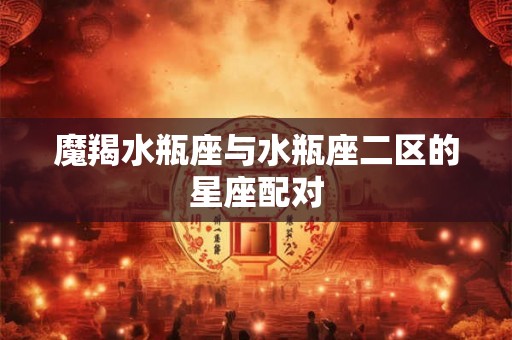 魔羯水瓶座与水瓶座二区的星座配对