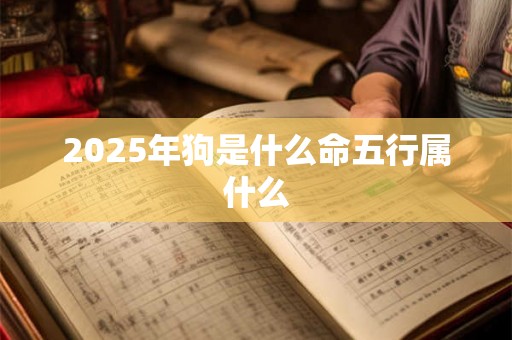 2025年狗是什么命五行属什么 2025年狗是什么命五行属什么