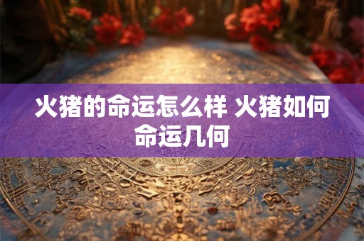火猪的命运怎么样 火猪如何命运几何 火猪的命运怎么样 火猪如何命运几何