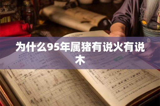 为什么95年属猪有说火有说木 为什么95年属猪有说火有说木