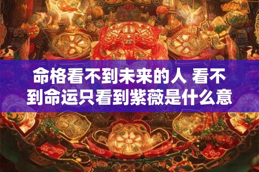 命格看不到未来的人 看不到命运只看到紫薇是什么意思 命格看不到未来的人 看不到命运只看到紫薇是什么意思