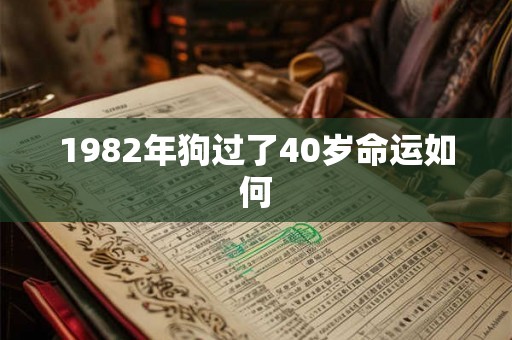 1982年狗过了40岁命运如何 1982年狗过了40岁命运如何