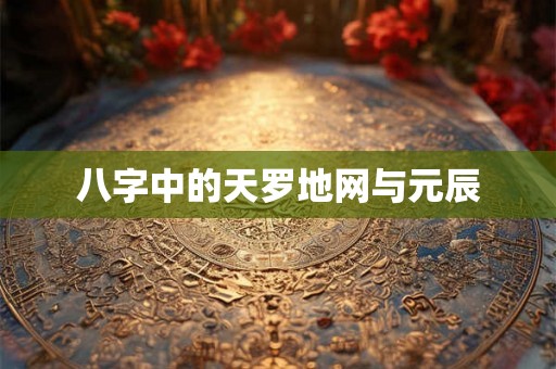 八字中的天罗地网与元辰 八字中的天罗地网与元辰