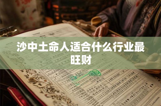 沙中土命人适合什么行业最旺财 沙中土命人适合什么行业最旺财