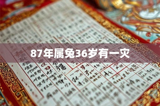 87年属兔36岁有一灾 87年属兔36岁有一灾