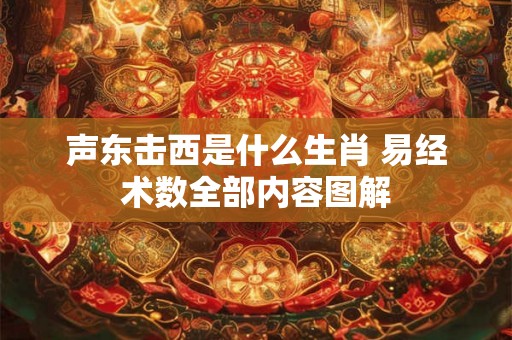 声东击西是什么生肖 易经术数全部内容图解