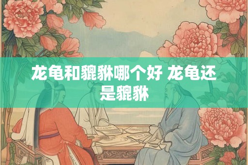 龙龟和貔貅哪个好 龙龟还是貔貅 龙龟和貔貅哪个好 龙龟还是貔貅