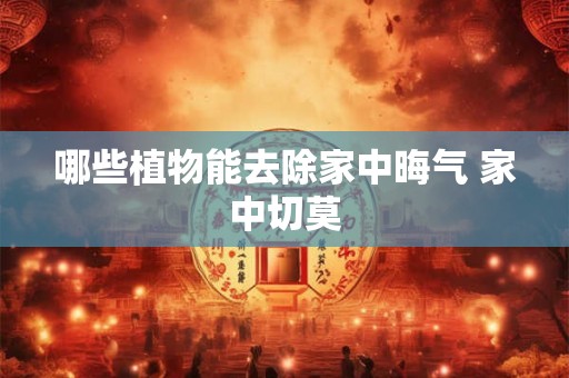 哪些植物能去除家中晦气 家中切莫 哪些植物能去除家中晦气 家中切莫