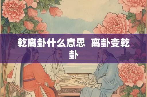 乾离卦什么意思  离卦变乾卦