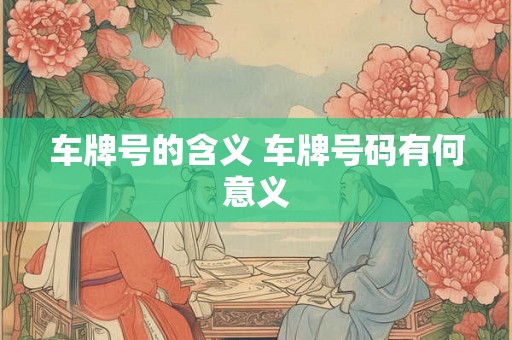 车牌号的含义 车牌号码有何意义 车牌号的含义 车牌号码有何意义