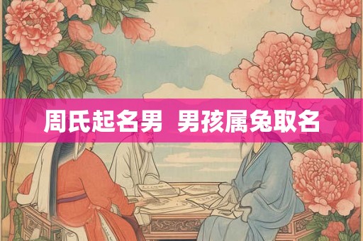 周氏起名男  男孩属兔取名