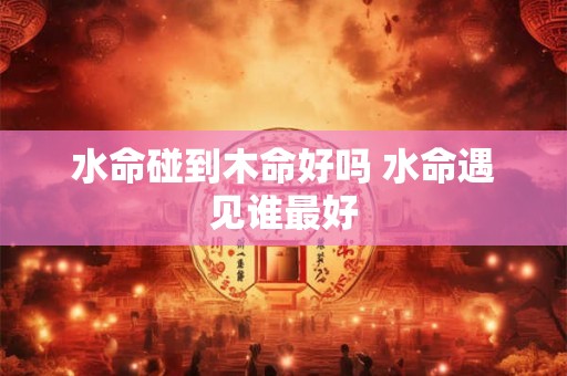 水命碰到木命好吗 水命遇见谁最好 水命碰到木命好吗 水命遇见谁最好