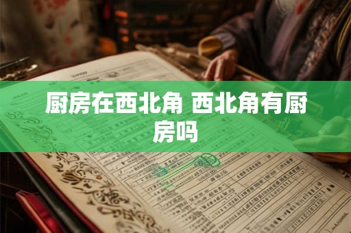 厨房在西北角 西北角有厨房吗