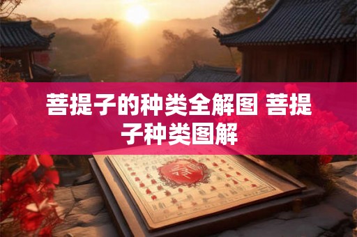菩提子的种类全解图 菩提子种类图解
