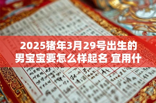 2025猪年3月29号出生的男宝宝要怎么样起名 宜用什么字 2025猪年3月29号出生的男宝宝要怎么样起名 宜用什么字
