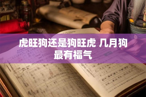 虎旺狗还是狗旺虎 几月狗最有福气 虎旺狗还是狗旺虎 几月狗最有福气