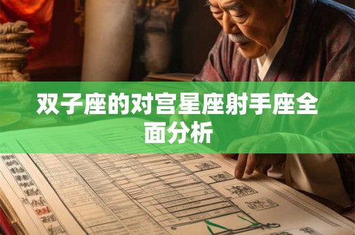 双子座的对宫星座射手座全面分析