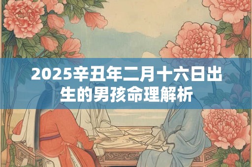 2025辛丑年二月十六日出生的男孩命理解析