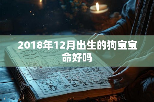 2018年12月出生的狗宝宝命好吗