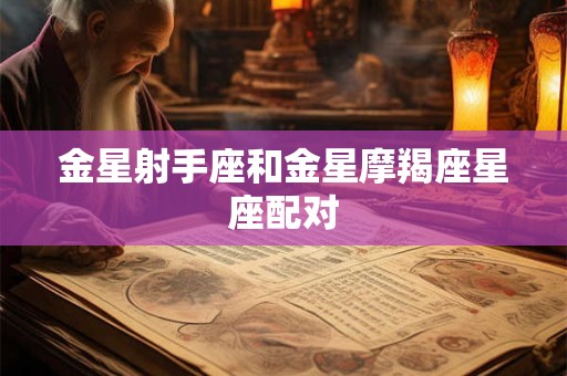 金星射手座和金星摩羯座星座配对