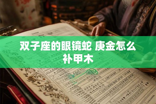 双子座的眼镜蛇 庚金怎么补甲木 双子座的眼镜蛇 庚金怎么补甲木