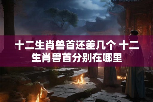 十二生肖兽首还差几个 十二生肖兽首分别在哪里 十二生肖兽首还差几个 十二生肖兽首分别在哪里