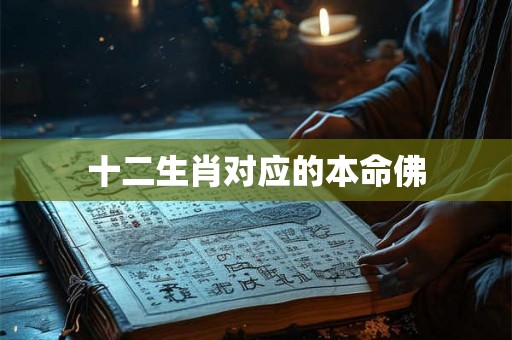 十二生肖对应的本命佛