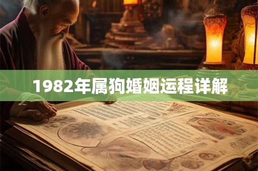 1982年属狗婚姻运程详解 1982年属狗婚姻运程详解