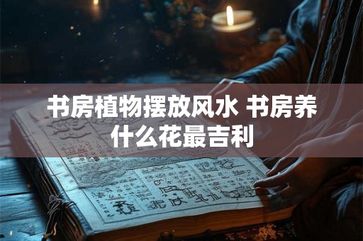 书房植物摆放风水 书房养什么花最吉利
