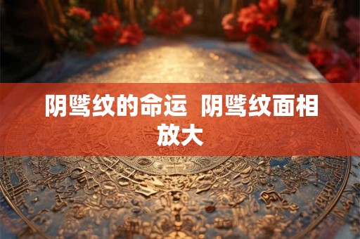 阴骘纹的命运 阴骘纹面相放大 阴骘纹的命运 阴骘纹面相放大