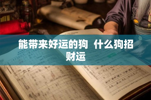 能带来好运的狗  什么狗招财运