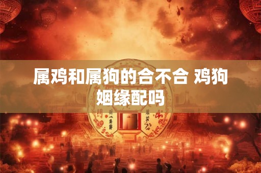 属鸡和属狗的合不合 鸡狗姻缘配吗 属鸡和属狗的合不合 鸡狗姻缘配吗