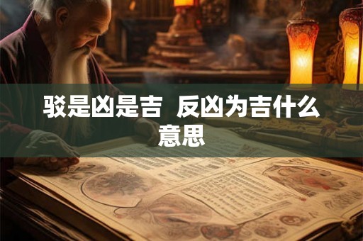 驳是凶是吉 反凶为吉什么意思 驳是凶是吉 反凶为吉什么意思
