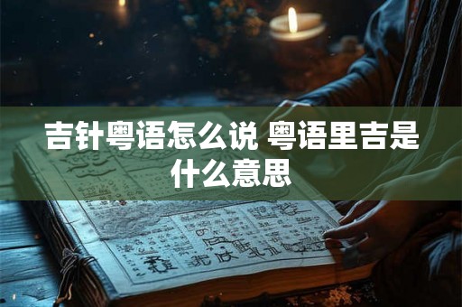 吉针粤语怎么说 粤语里吉是什么意思 吉针粤语怎么说 粤语里吉是什么意思