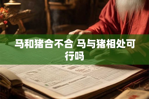 马和猪合不合 马与猪相处可行吗 马和猪合不合 马与猪相处可行吗