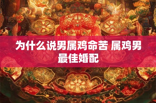 为什么说男属鸡命苦 属鸡男最佳婚配