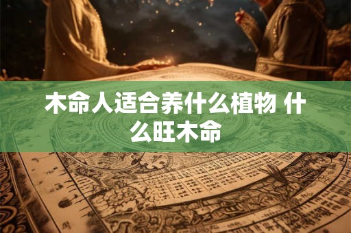 木命人适合养什么植物 什么旺木命 木命人适合养什么植物 什么旺木命
