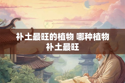 补土最旺的植物 哪种植物补土最旺 补土最旺的植物 哪种植物补土最旺