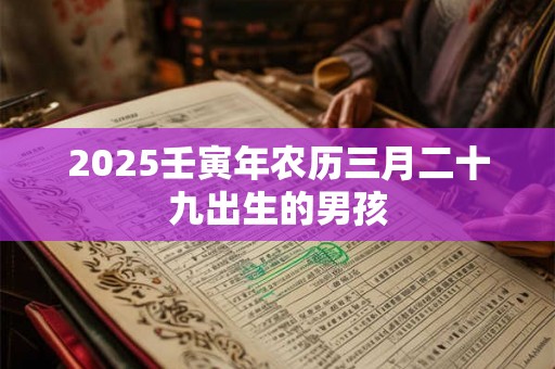 2025壬寅年农历三月二十九出生的男孩
