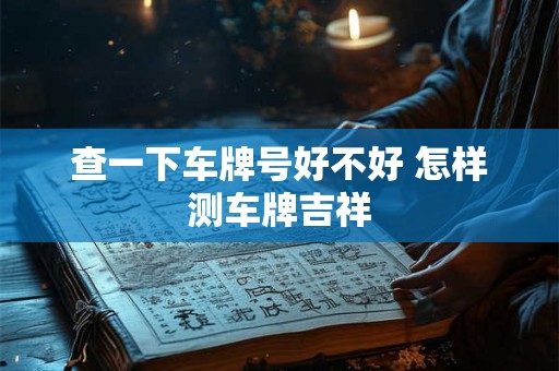查一下车牌号好不好 怎样测车牌吉祥 查一下车牌号好不好 怎样测车牌吉祥
