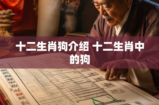 十二生肖狗介绍 十二生肖中的狗