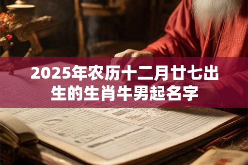 2025年农历十二月廿七出生的生肖牛男起名字 2025年农历十二月廿七出生的生肖牛男起名字
