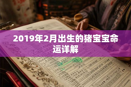 2019年2月出生的猪宝宝命运详解 2019年2月出生的猪宝宝命运详解