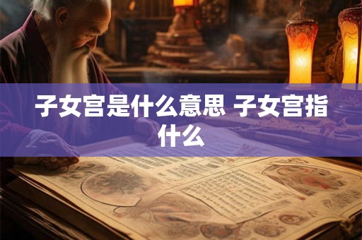 子女宫是什么意思 子女宫指什么 子女宫是什么意思 子女宫指什么