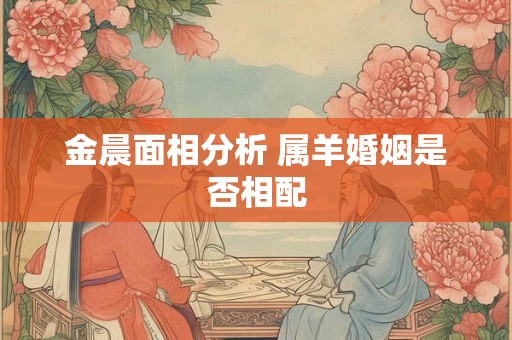 金晨面相分析 属羊婚姻是否相配 金晨面相分析 属羊婚姻是否相配