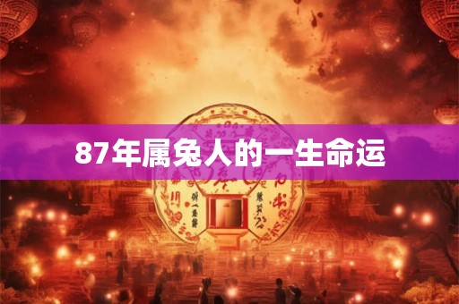 87年属兔人的一生命运 87年属兔人的一生命运