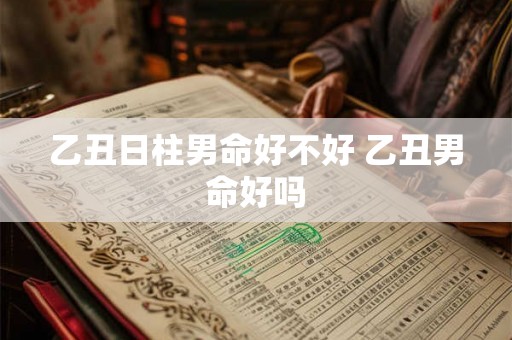 乙丑日柱男命好不好 乙丑男命好吗