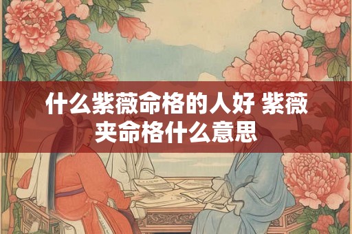 什么紫薇命格的人好 紫薇夹命格什么意思 什么紫薇命格的人好 紫薇夹命格什么意思