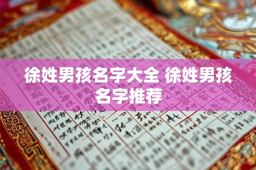 徐姓男孩名字大全 徐姓男孩名字推荐 徐姓男孩名字大全 徐姓男孩名字推荐